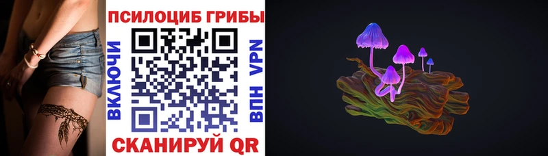 Псилоцибиновые грибы Psilocybine cubensis купить наркотик Ковылкино